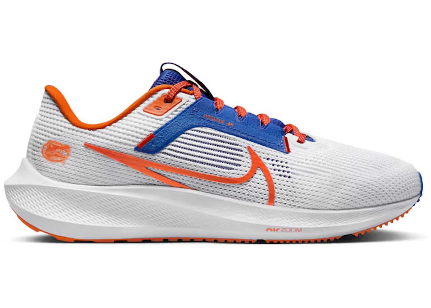 Nike Pegasus 40 Florida