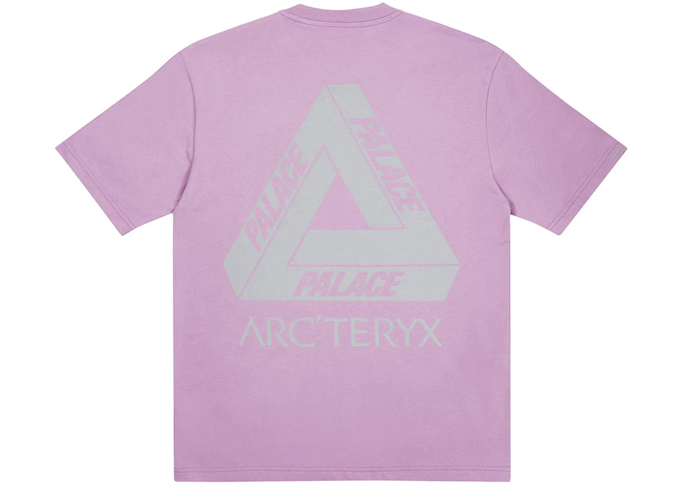 Palace Arc'teryx T-shirt Haze