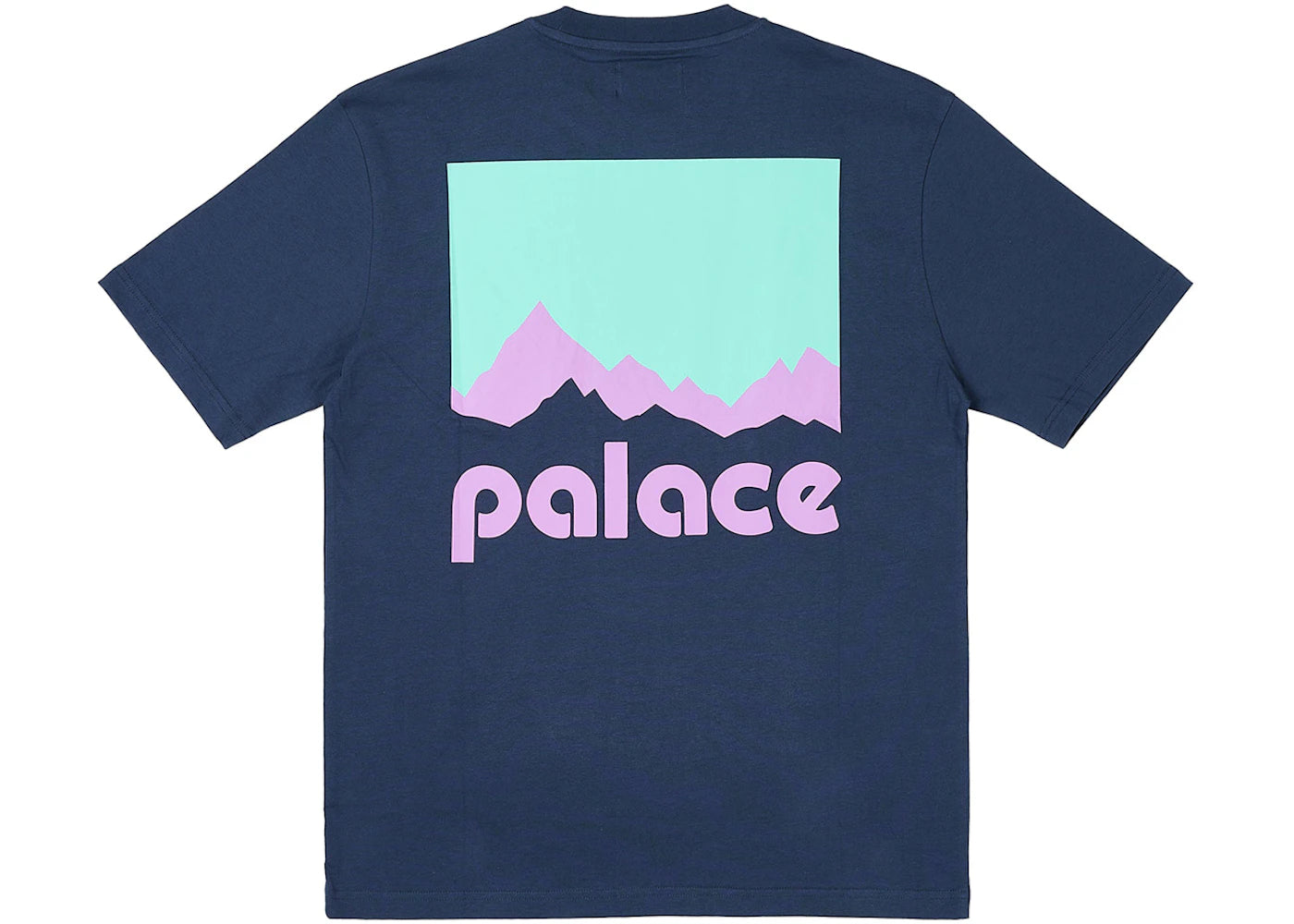 Palace Berghaus T-Shirt Navy