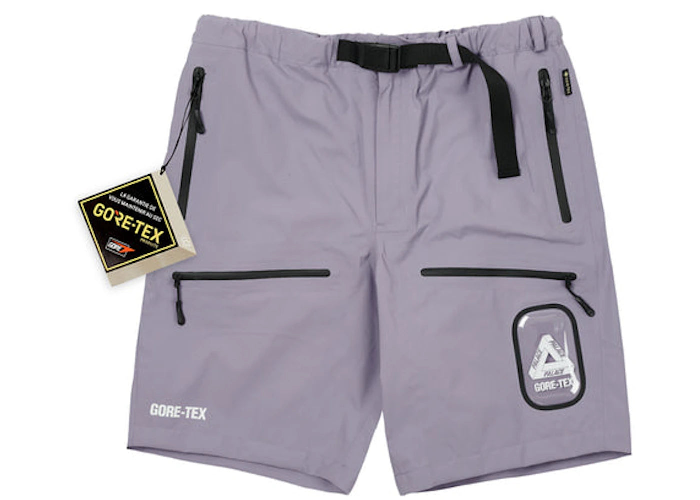 Palace GORE-TEX S-Tech Shorts Purple