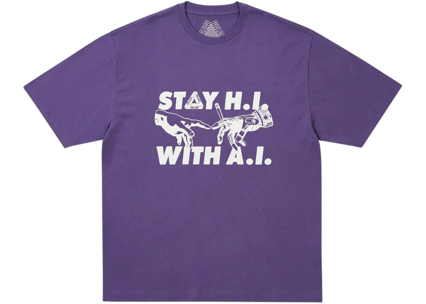 Palace Indica T-Shirt Purp