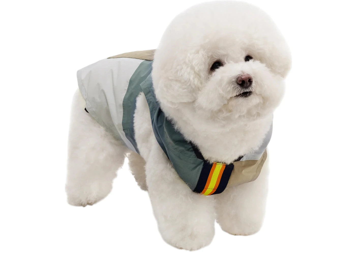 Palace K-Way Le Vrai 4.0 Horatio Dog Jacket Multicolor/Blue/Black