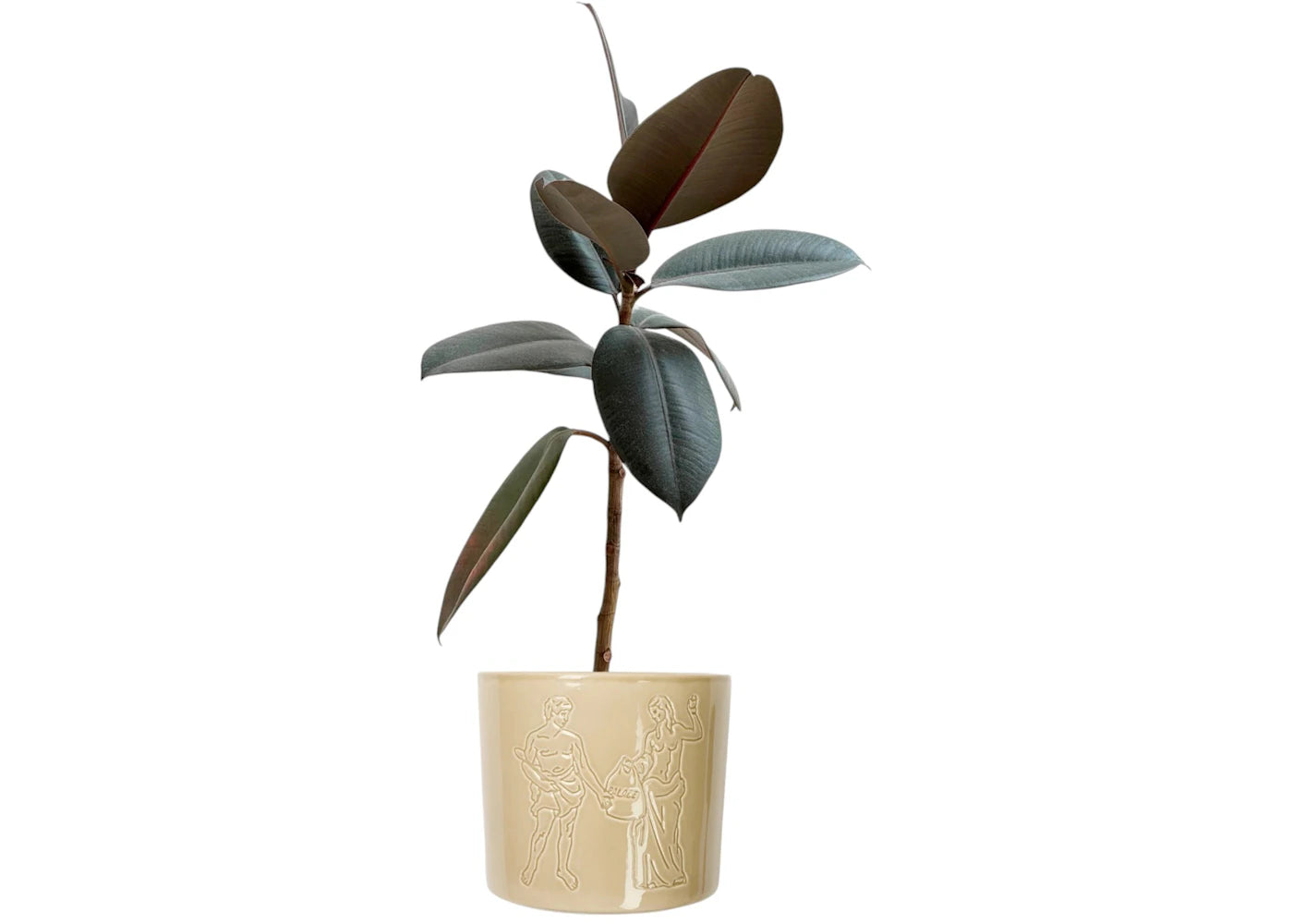 Palace Londinium Ceramic Plant Pot Stone