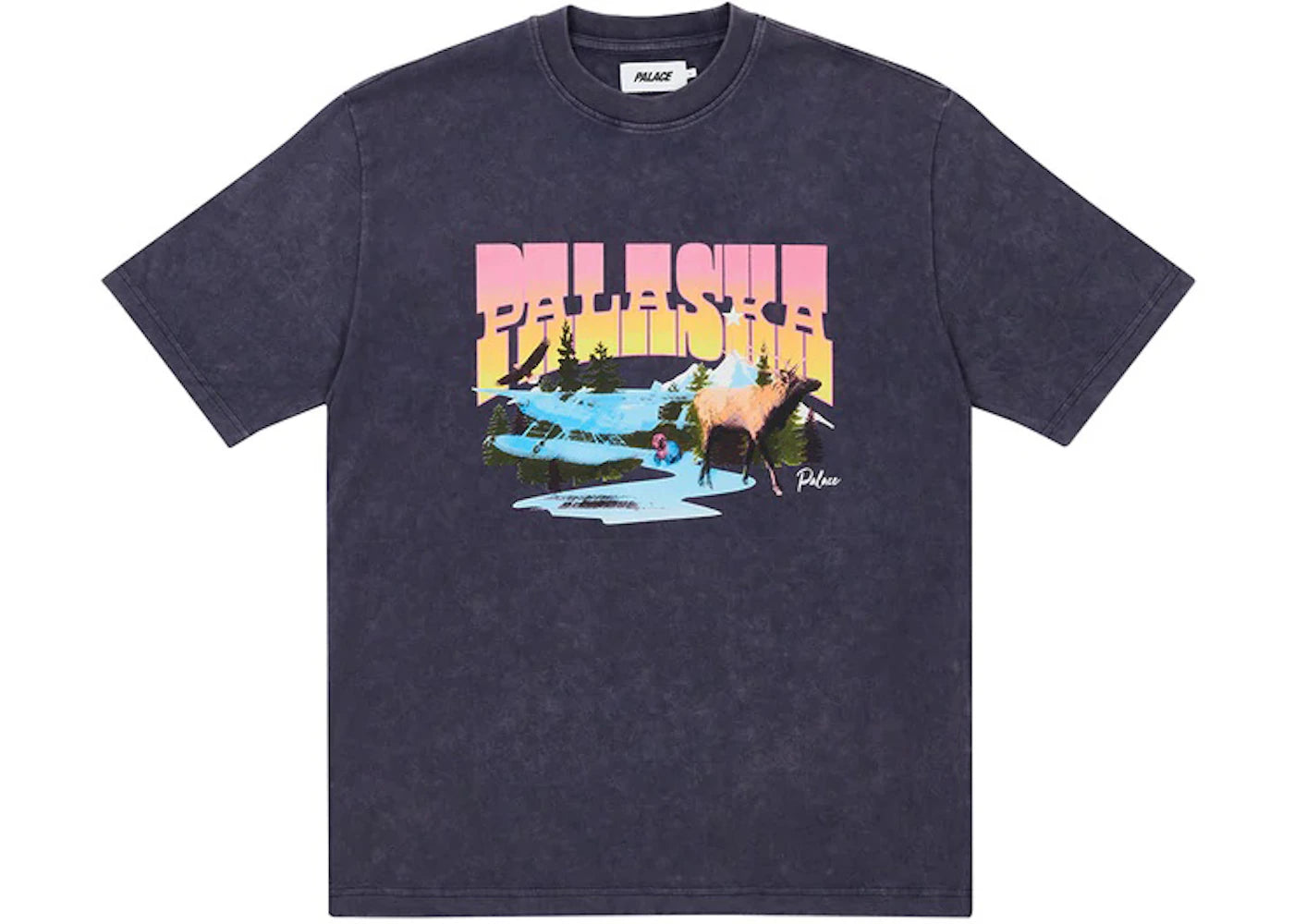 Palace Palaska Dye T-shirt Purple