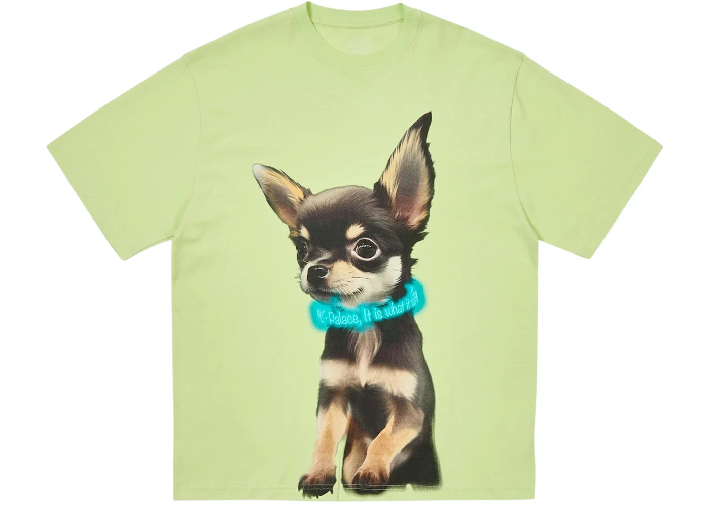 Palace Yappy T-Shirt Mojito