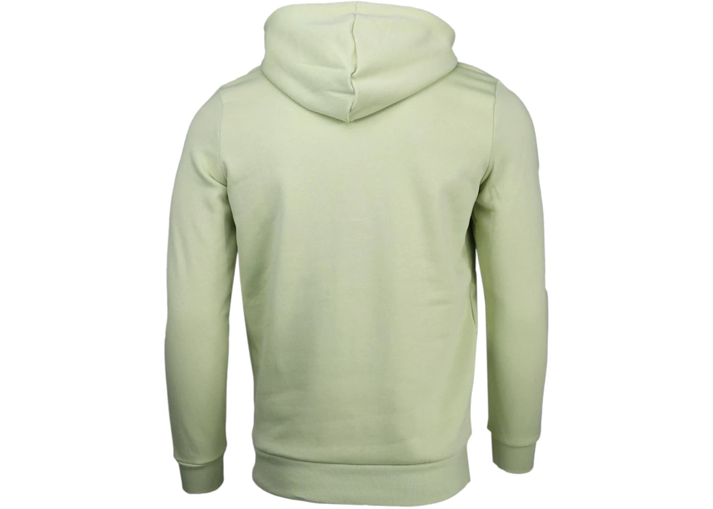 Puma Tonal Sportswear Graphic Full Zip Hoodie Pistachio Green