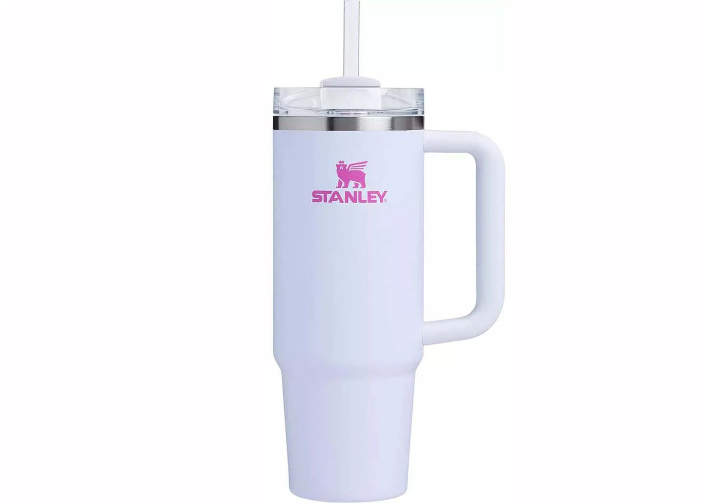 Stanley x Dicks Sporting Goods Winter Wonderland Collection Flowstate Quencher 30oz Tumbler Crystal Crush