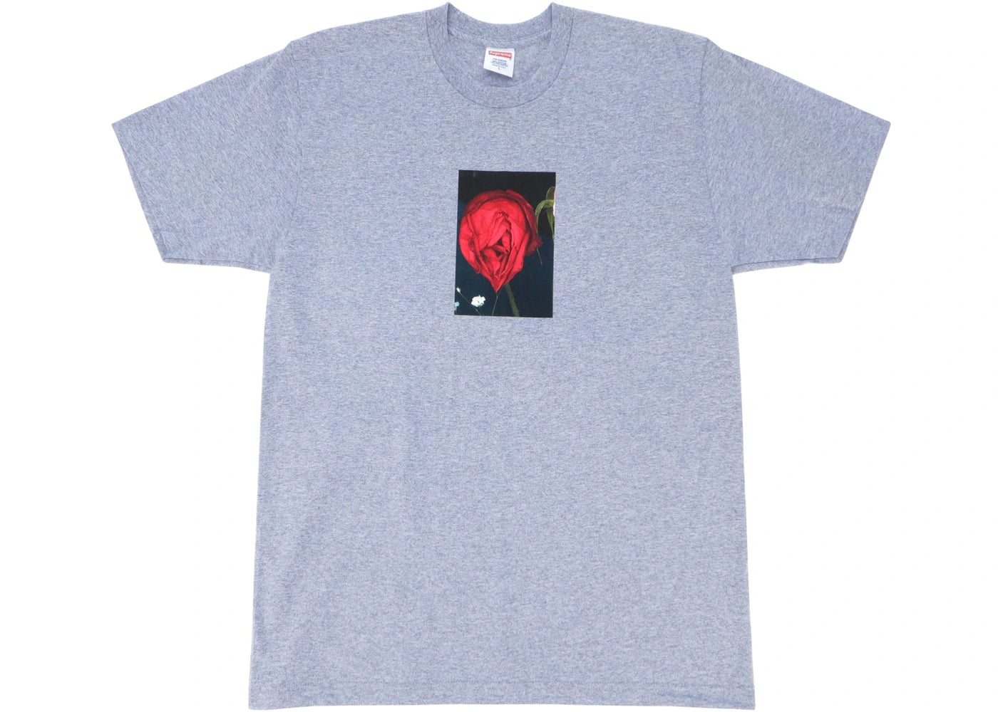 Supreme Akari Rose Tee Heather Grey