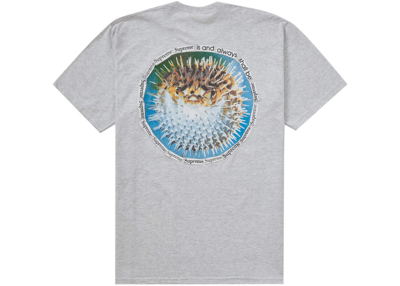 Supreme Blowfish Tee Ash Grey