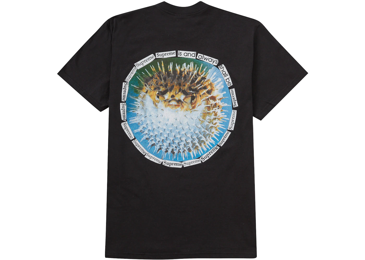 Supreme Blowfish Tee Black