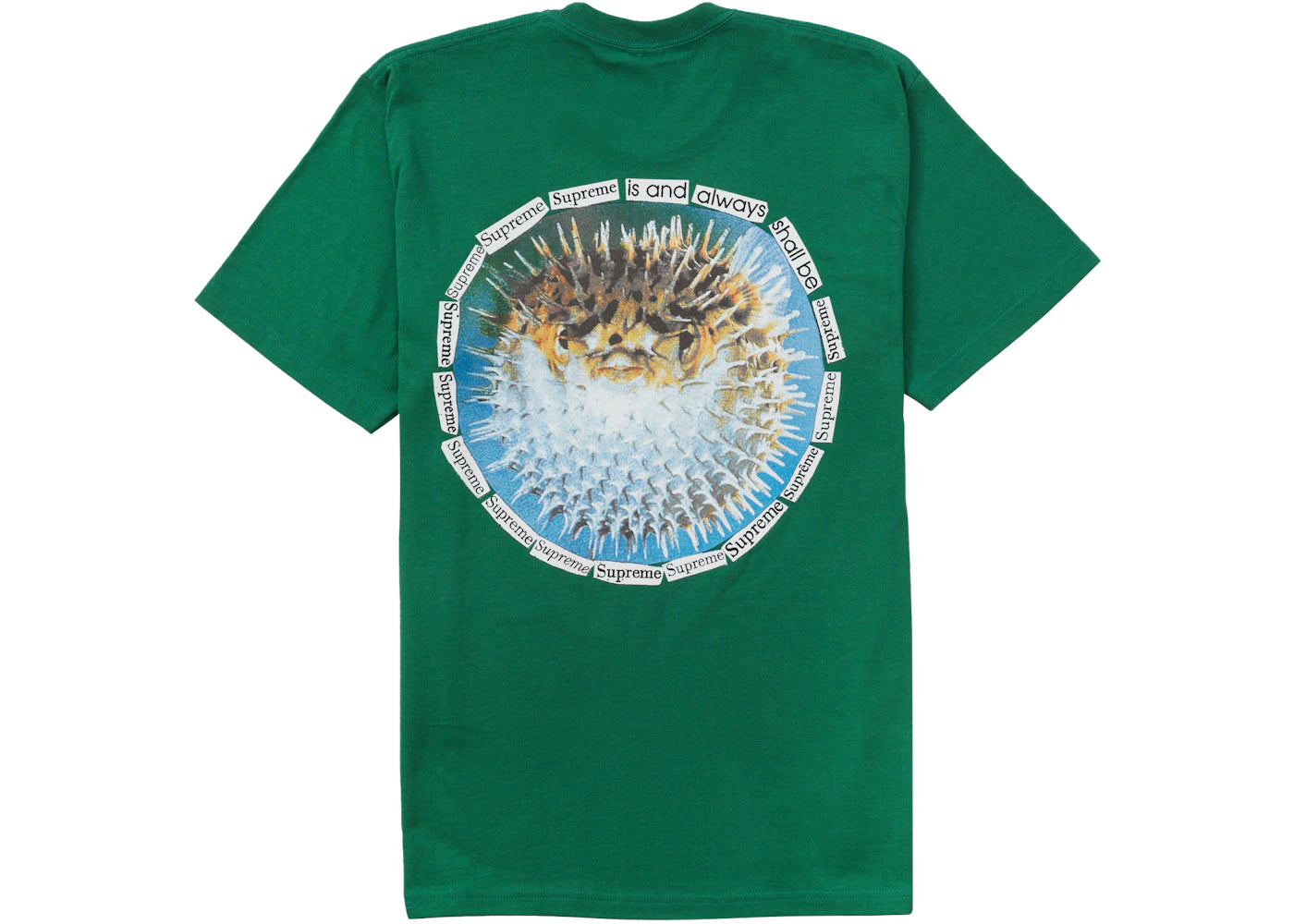 Supreme Blowfish Tee Light Pine