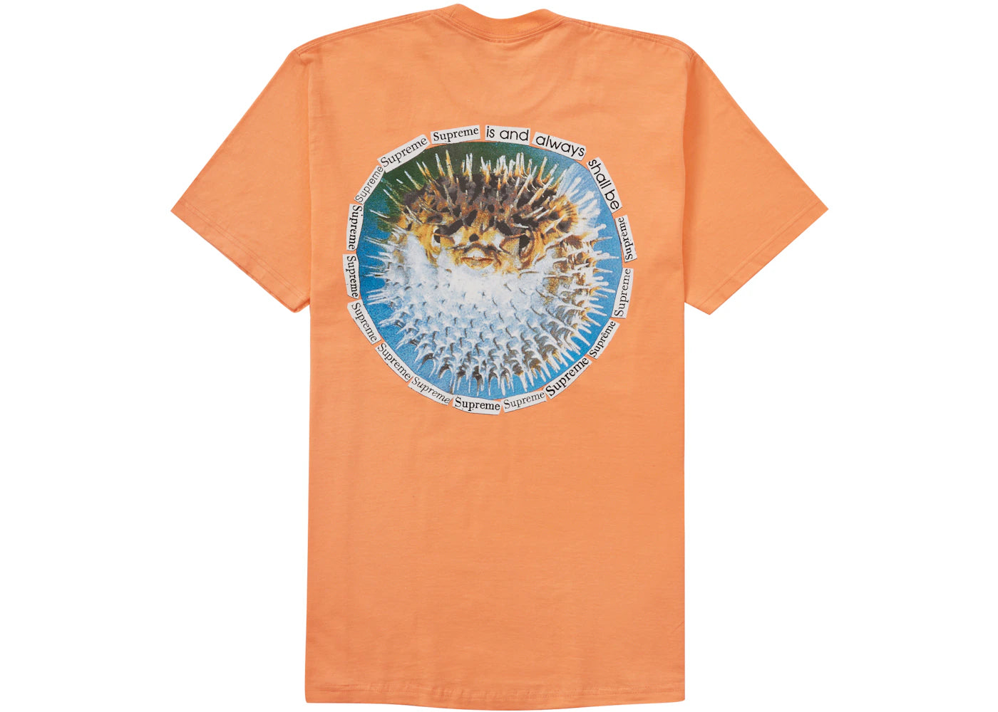 Supreme Blowfish Tee Peach