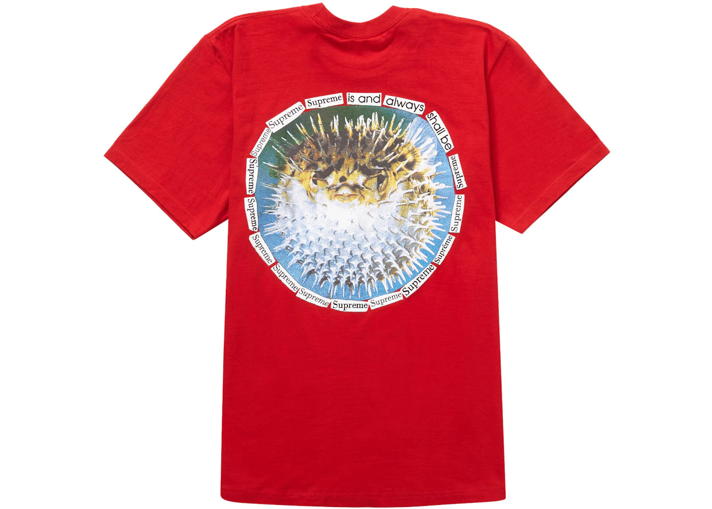 Supreme Blowfish Tee Red