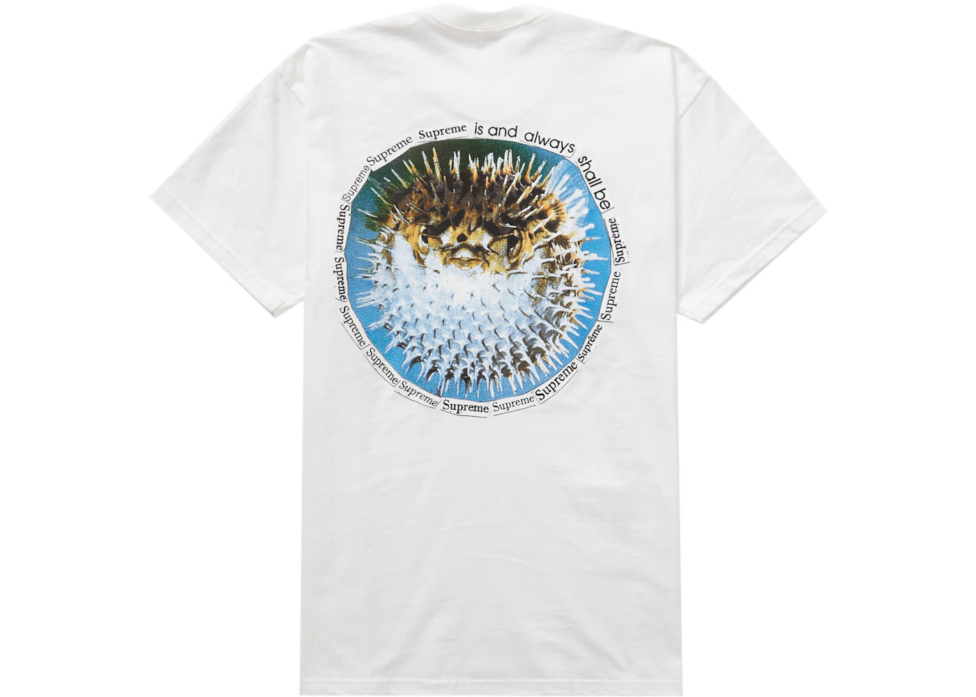 Supreme Blowfish Tee White