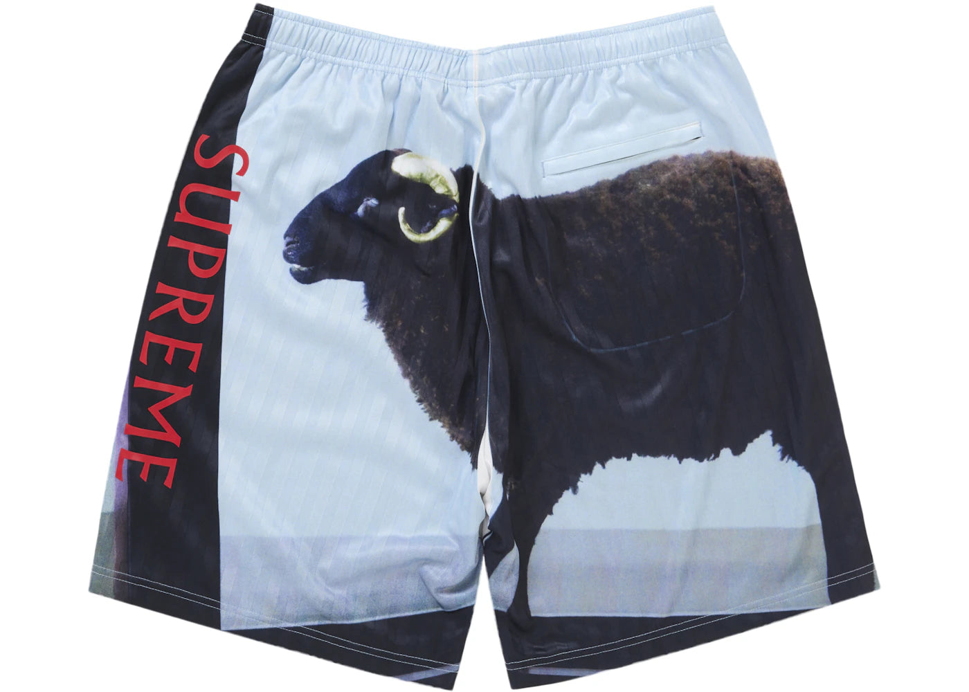 Supreme x Damien Hirst Soccer Short ショーツ Supreme Damien Hirst Soccer Short Black – Side Kicks