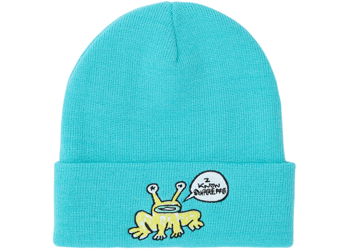 Supreme Daniel Johnston Beanie Turquoise