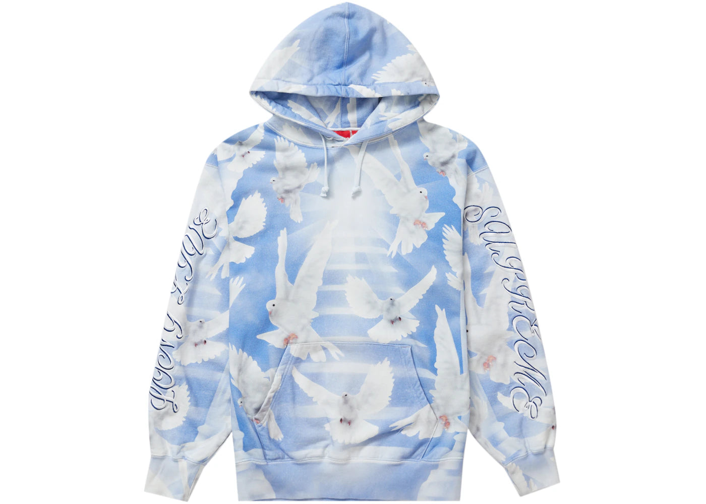 Supreme Doves Hooded Sweatshirt (SS22) Blue