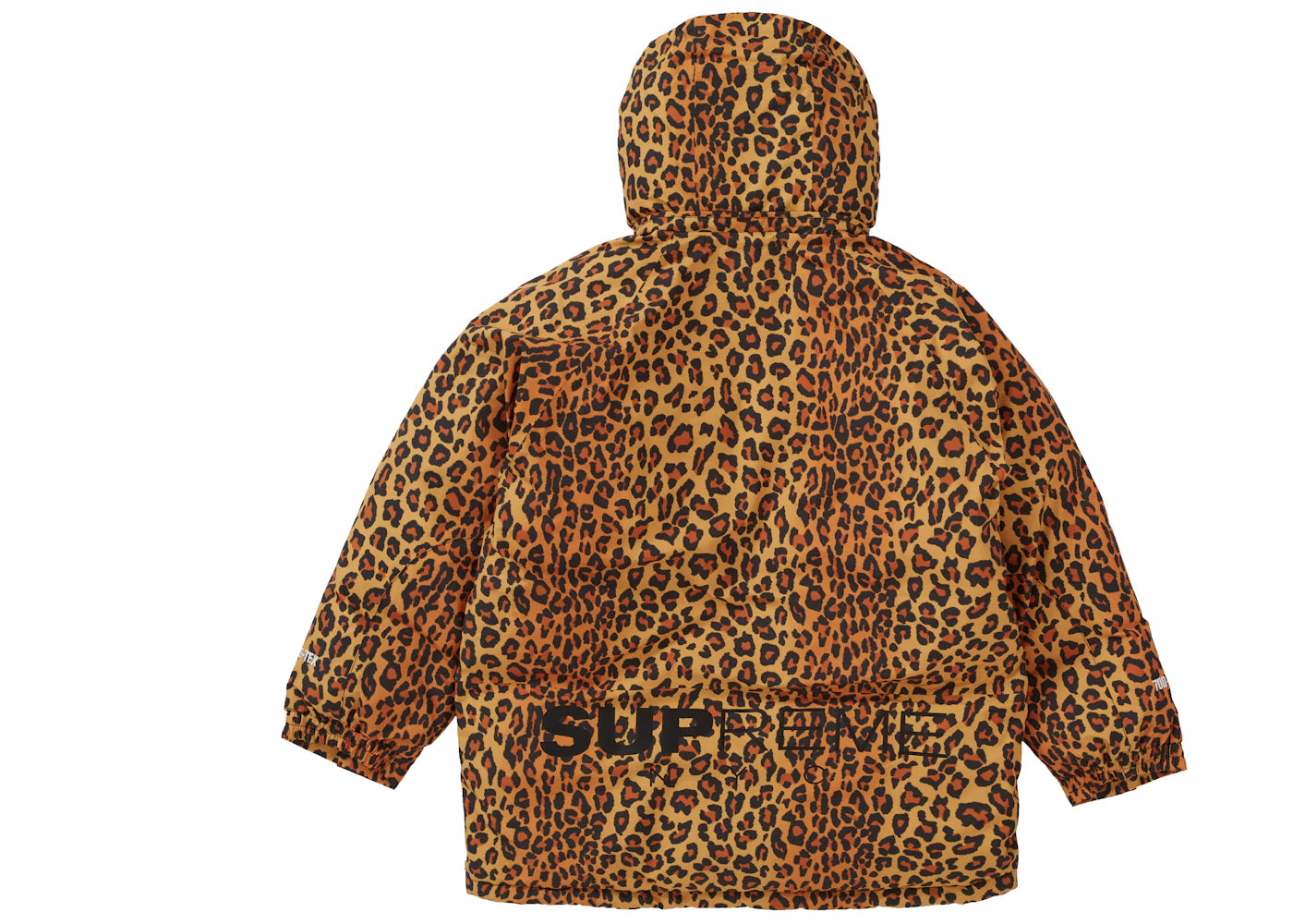 Supreme GORE-TEX 700-Fill Down Parka (FW20) Leopard