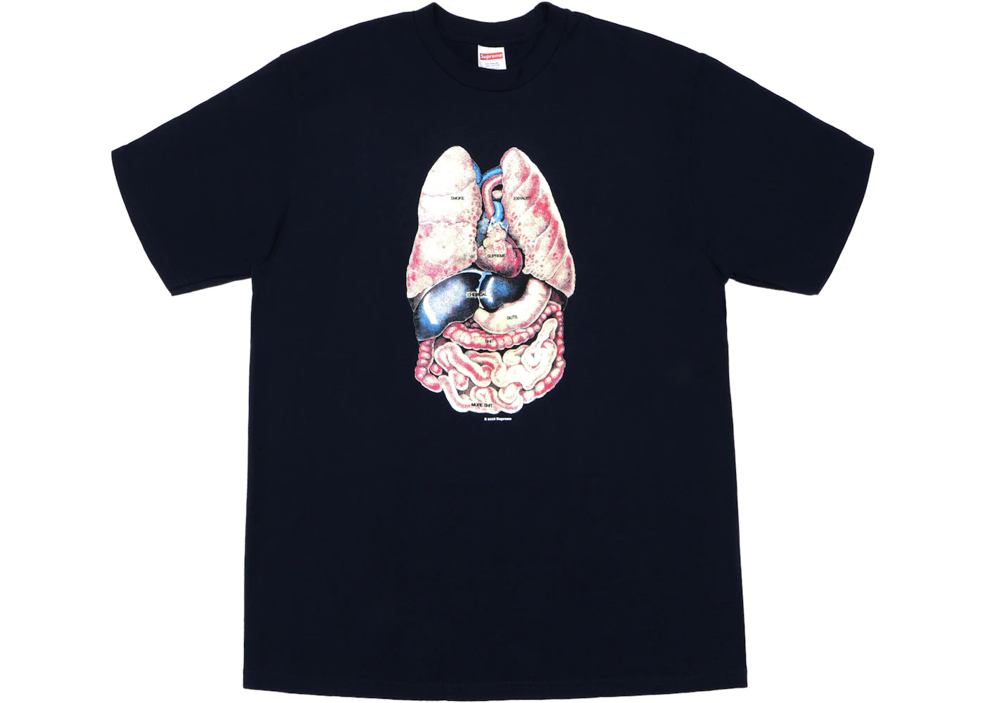 Supreme Guts Tee Navy