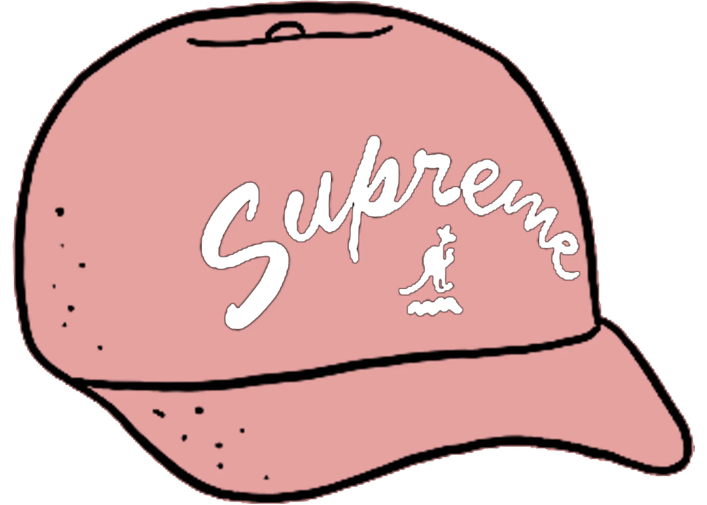 Supreme Supreme Kangol Bermuda Spacecap Pink