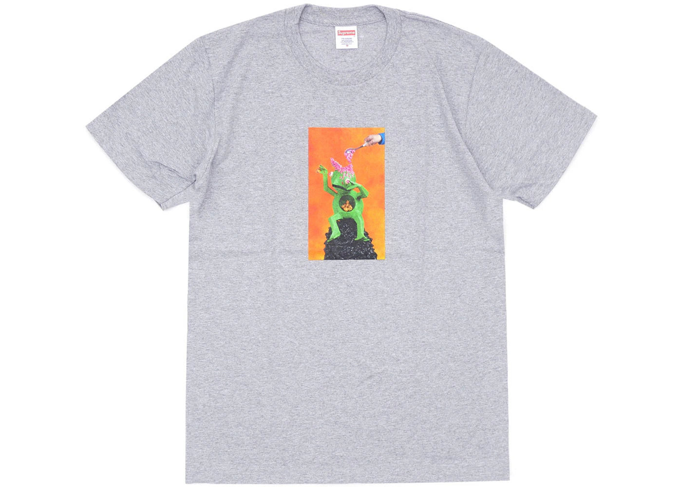 Supreme Mike Hill Brains Tee Grey