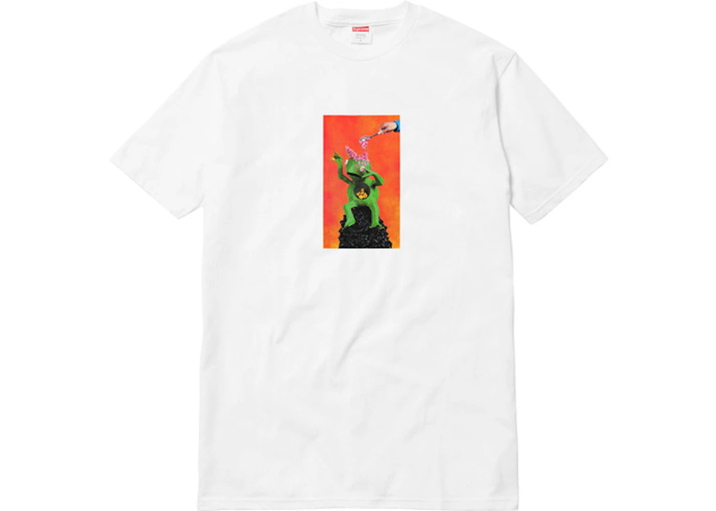 Supreme Mike Hill Brains Tee White