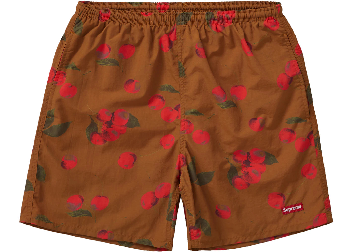 Supreme Nylon Water Short (SS19) Brown Cherry