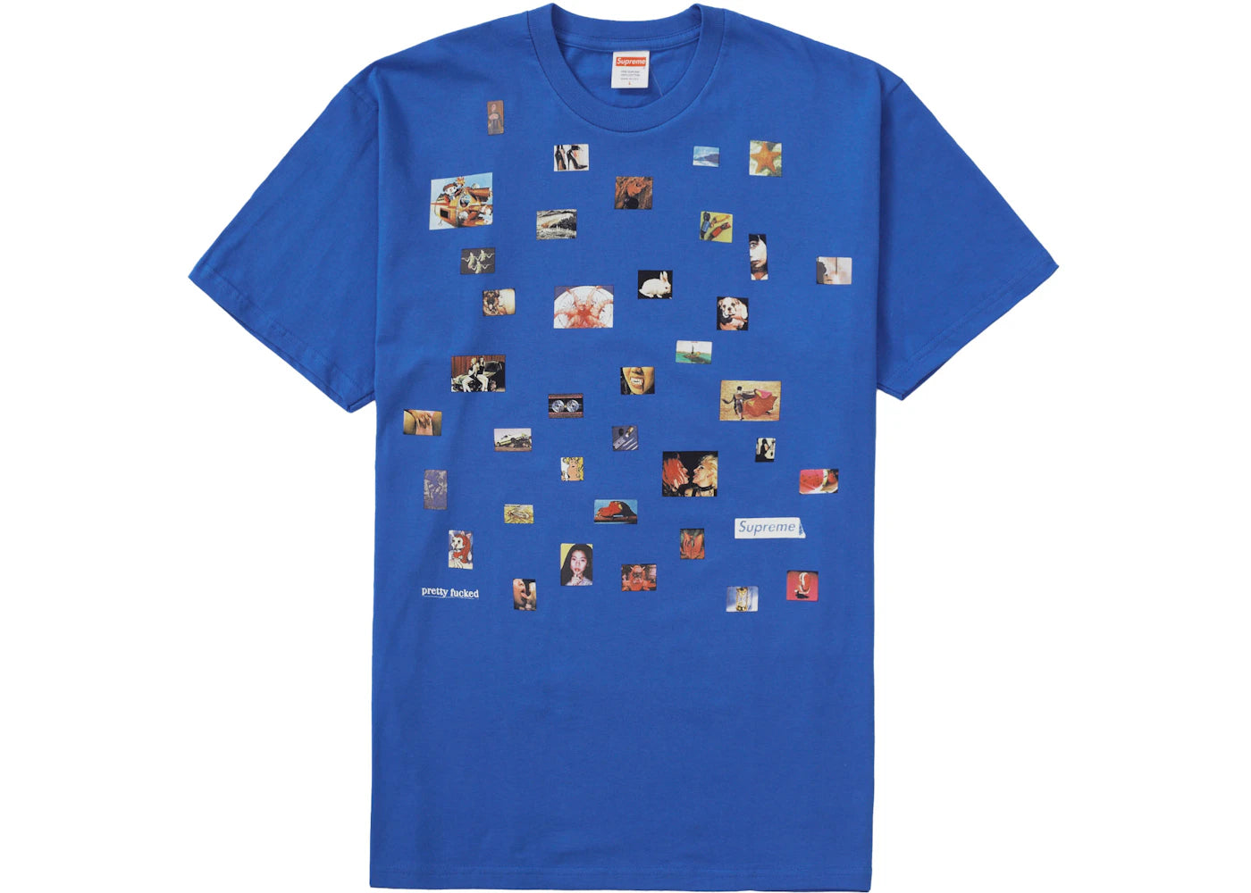 Supreme Pretty Fucked Tee Royal