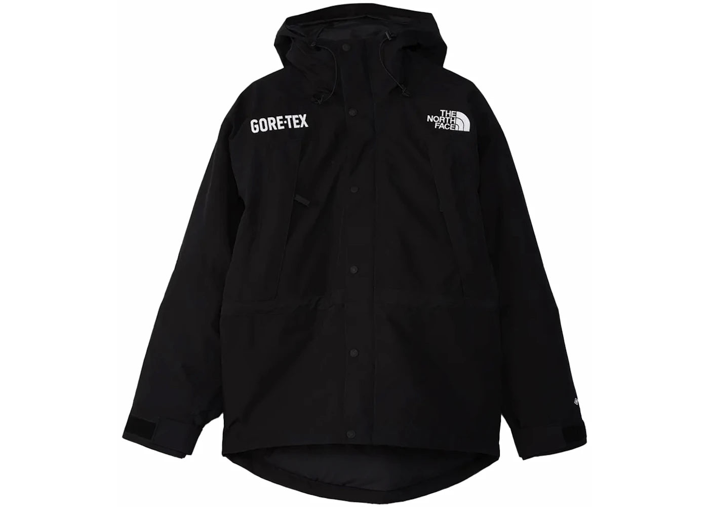 The North Face GTX Mountain Guide Insulated Parka Black