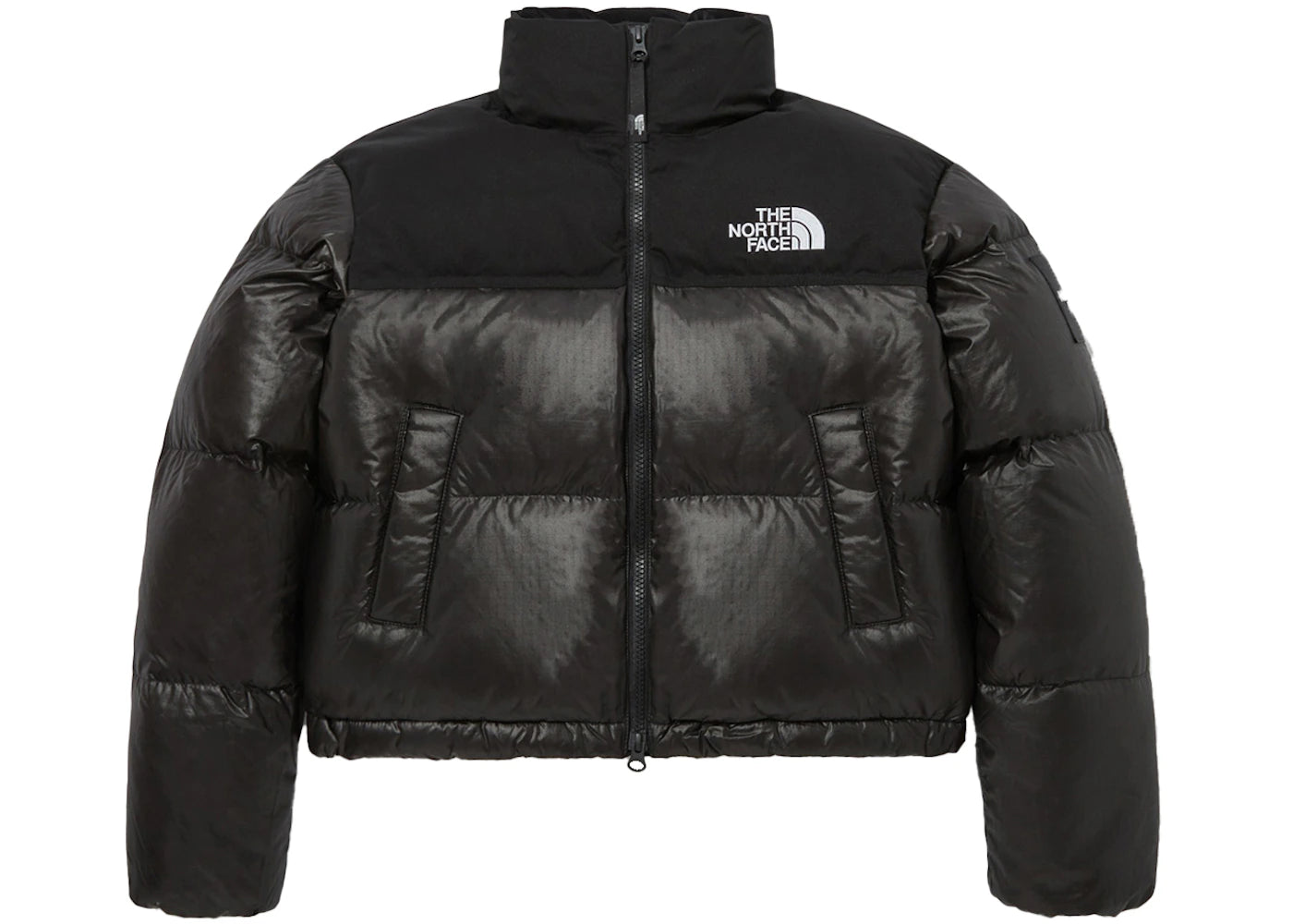 The North Face Women's Novelty Nuptse RDS Down Jacket Black