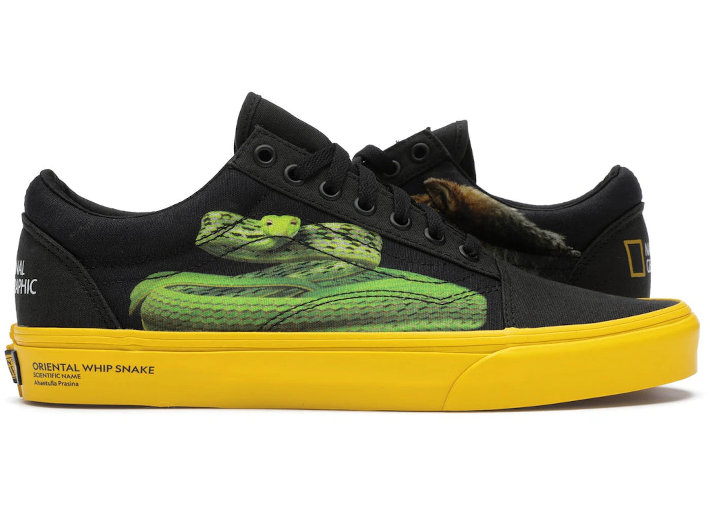 Vans Old Skool National Geographic
