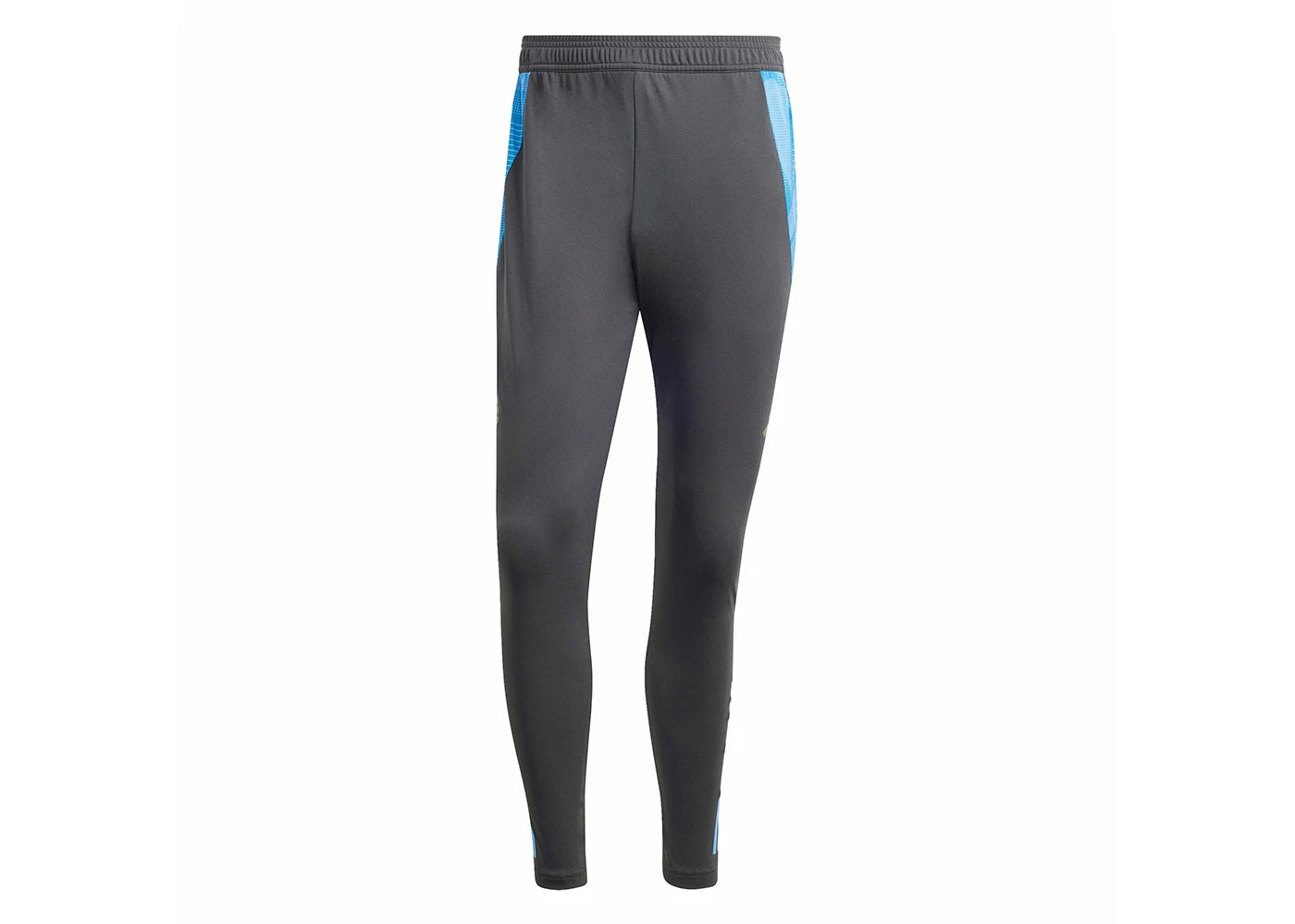 adidas Argentina Tiro 24 Competition Training Pants Carbon