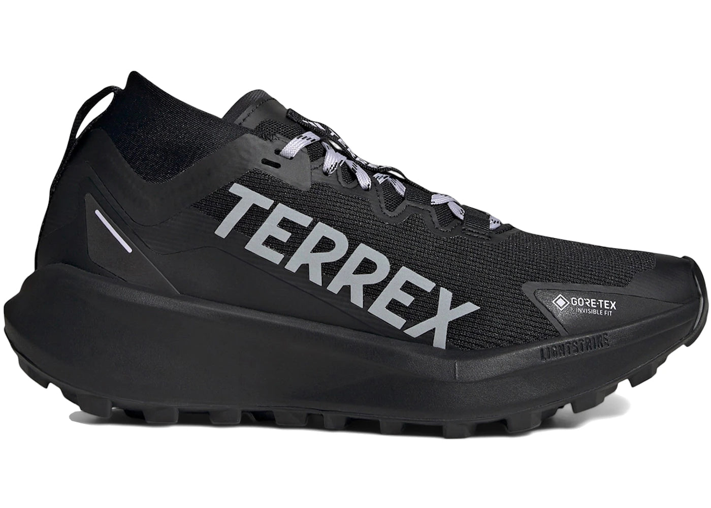 adidas Terrex Agravic Gore-Tex Trail Core Black Silver Dawn Grey Two (Women's)