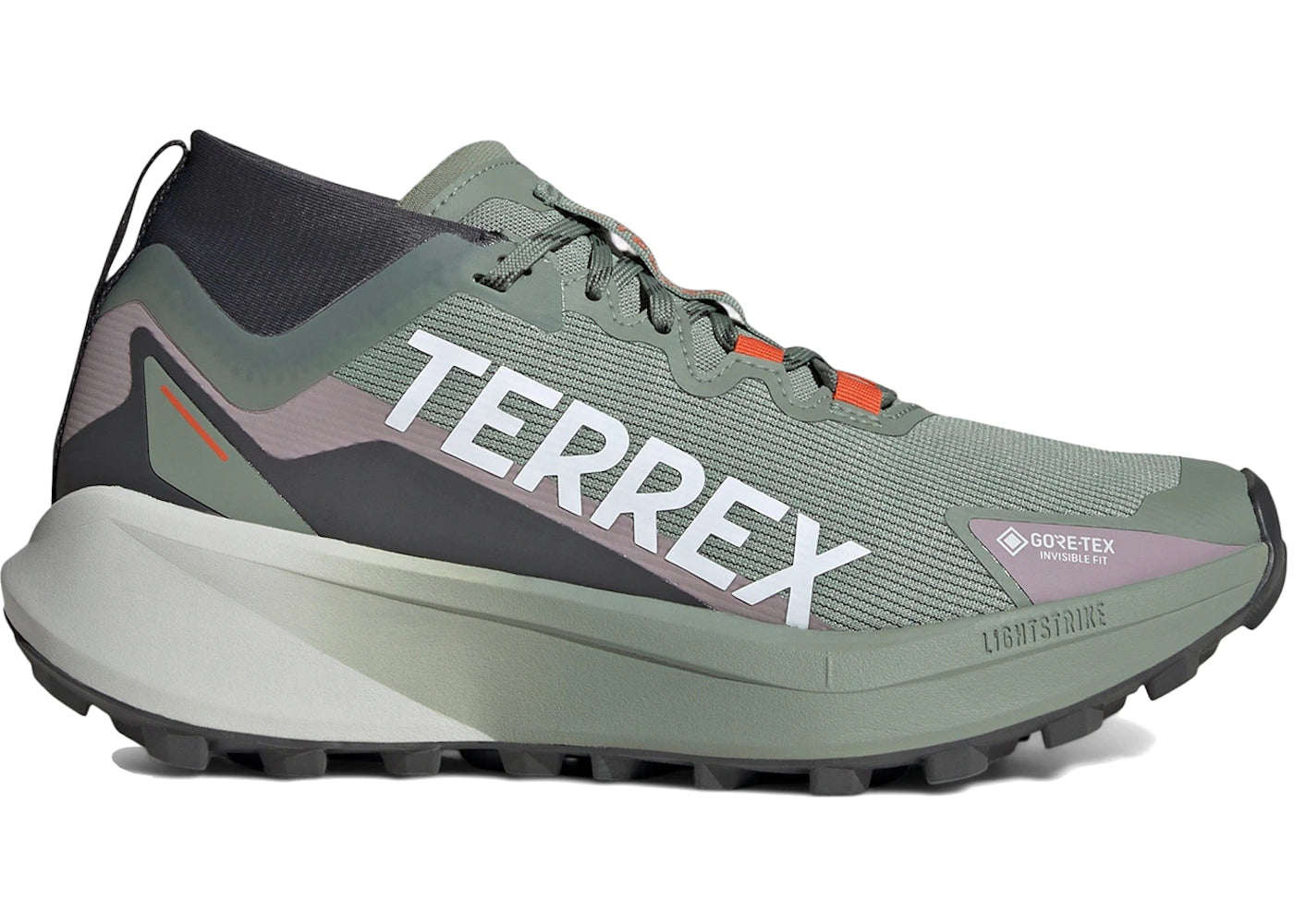 adidas Terrex Agravic Gore-Tex Trail Silver Green Cloud White Preloved Fig (Women's)