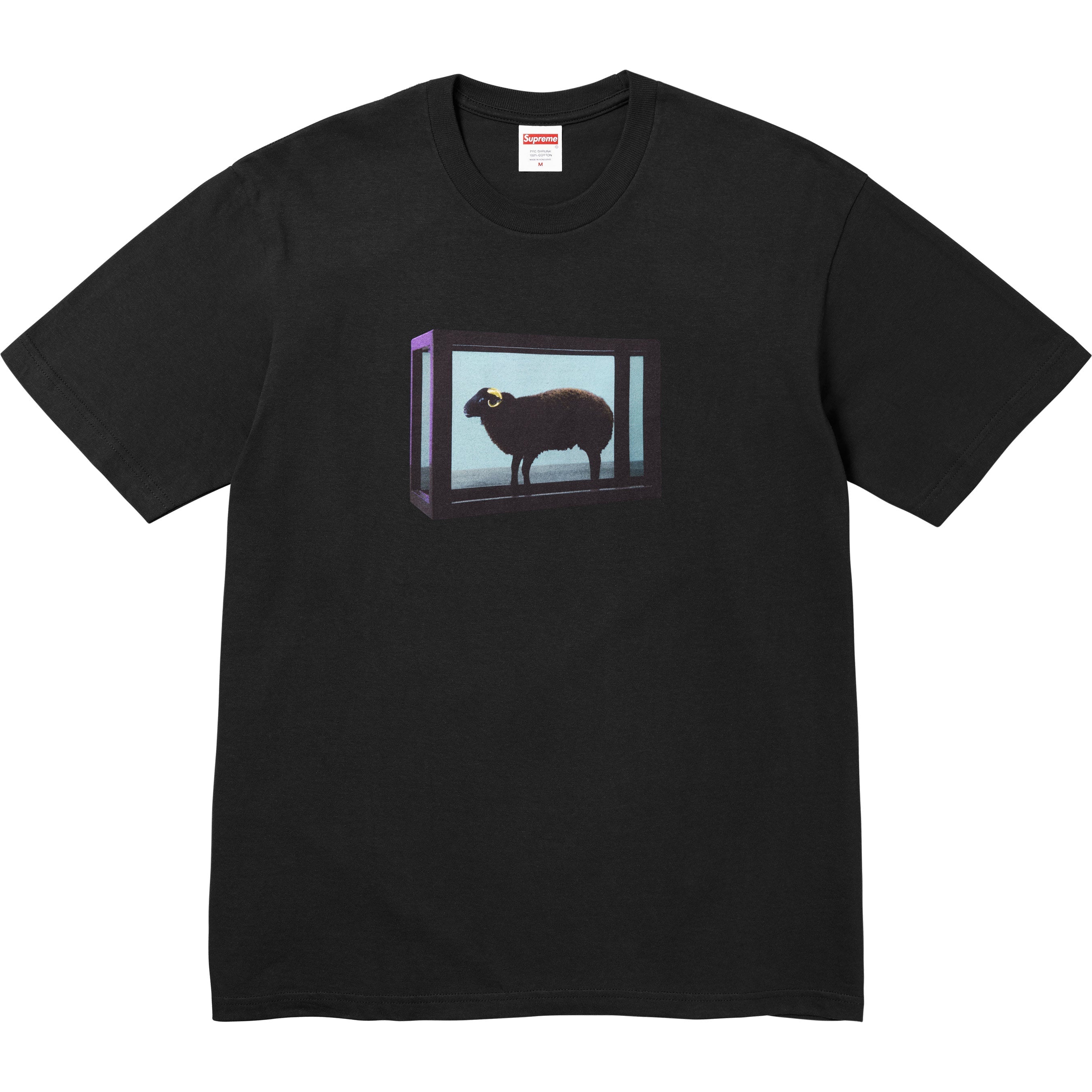 Supreme/Damien Hirst Tee - Black