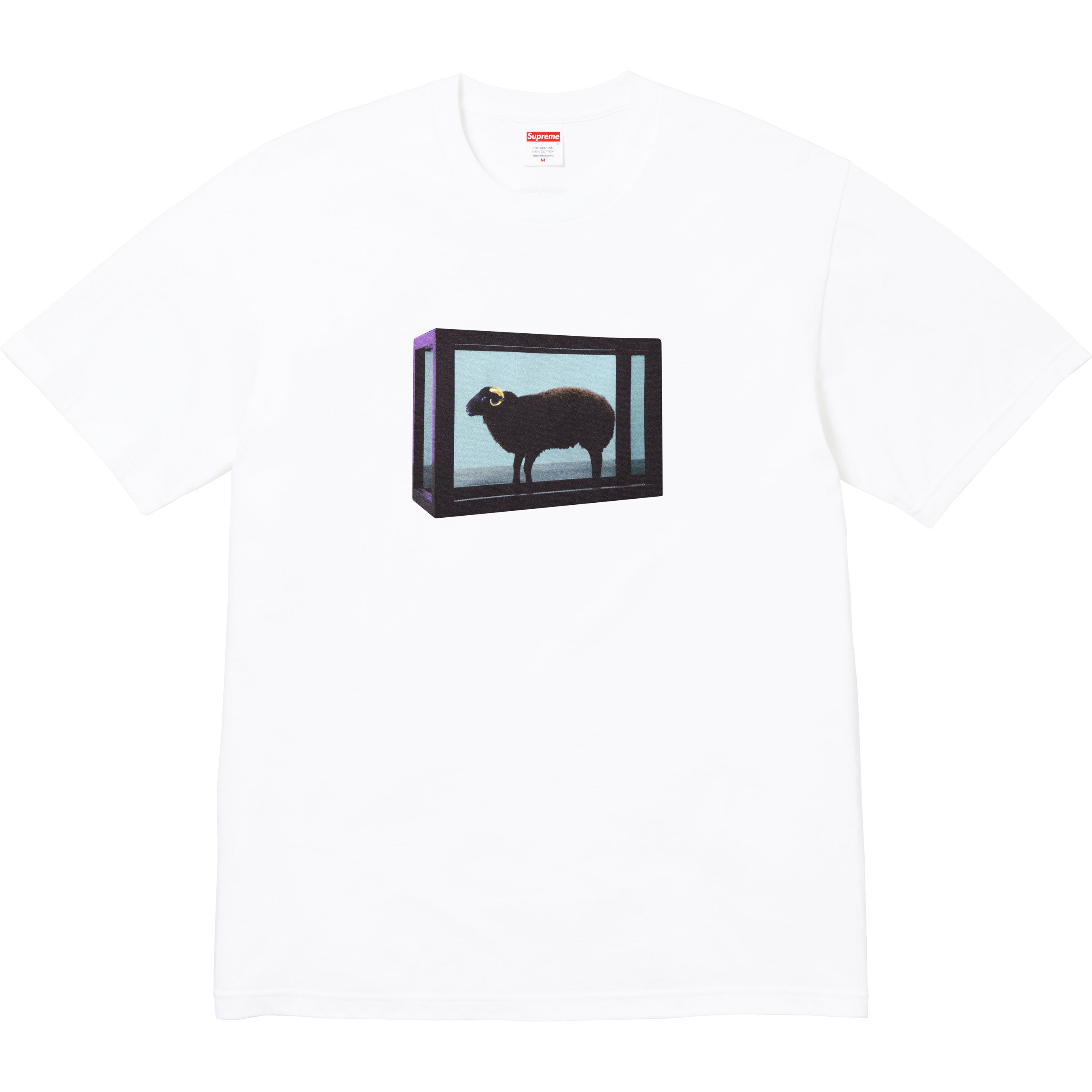 Supreme/Damien Hirst Tee - White