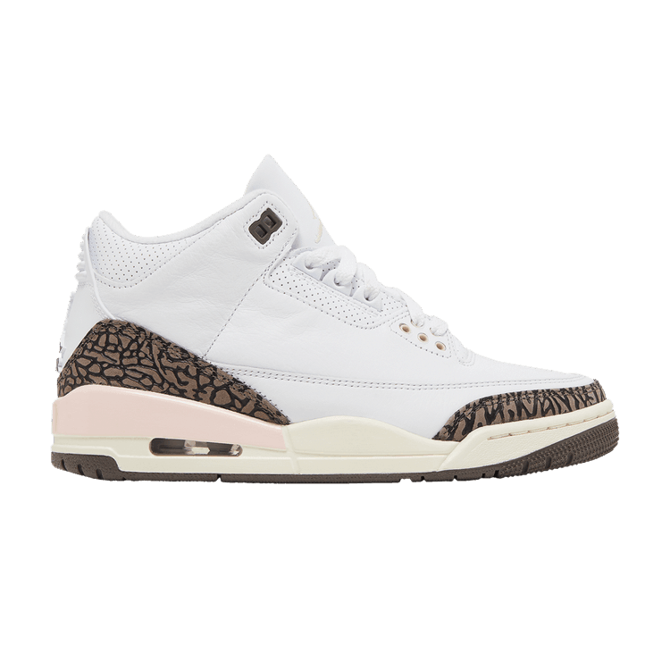 Jordan 3 Retro Neapolitan Dark Mocha (Women's) - Side Kicks