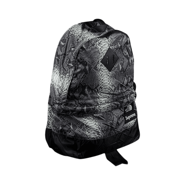 supreme-x-the-north-face-